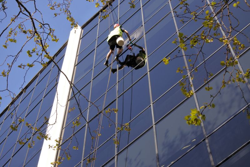 Business Window Cleaning detail