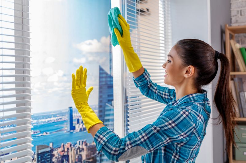 Residential Window Cleaning detail