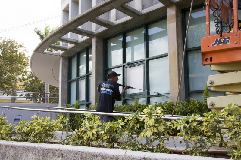 Window Washing Service