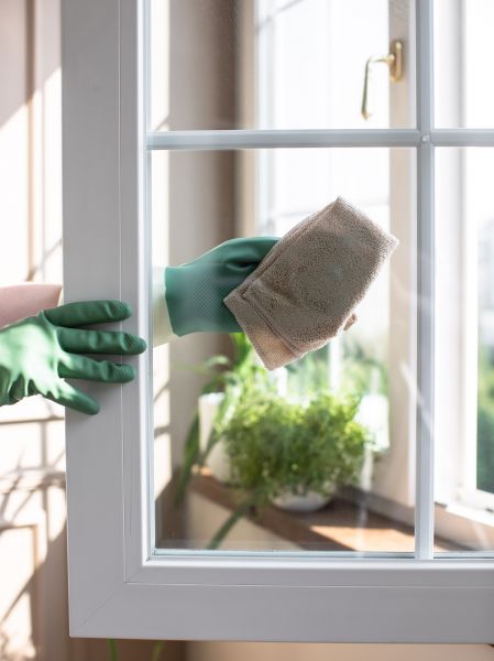Condo Window Cleaning Service